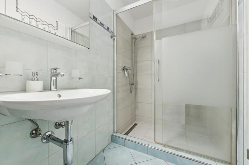 Well-maintained 4.5 room apartment (9)