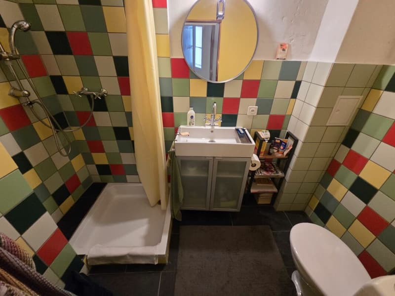 Casa plurifamiliare con 3 parti (9)