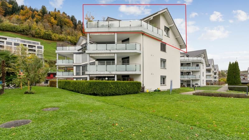 Charmante 3.5 Zimmer Dachwohnung mit Terrasse (1)