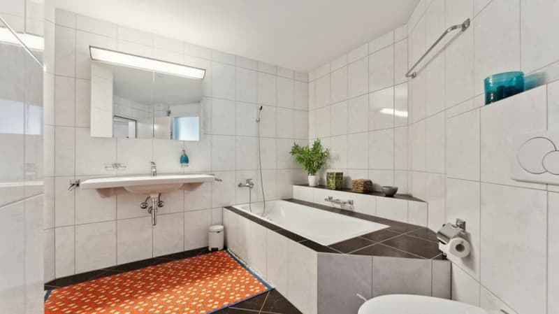 Charmante 3.5 Zimmer Dachwohnung mit Terrasse (10)