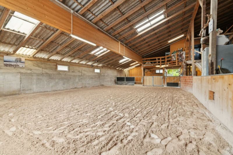 Proprietà equestre ristrutturata con privacy ineguagliabile (3)