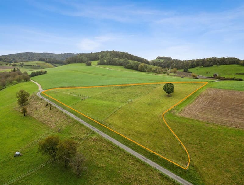 Proprietà equestre ristrutturata con privacy ineguagliabile (10)