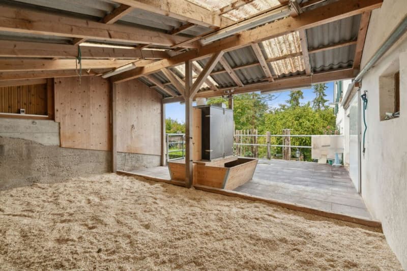 Proprietà equestre ristrutturata con privacy ineguagliabile (2)