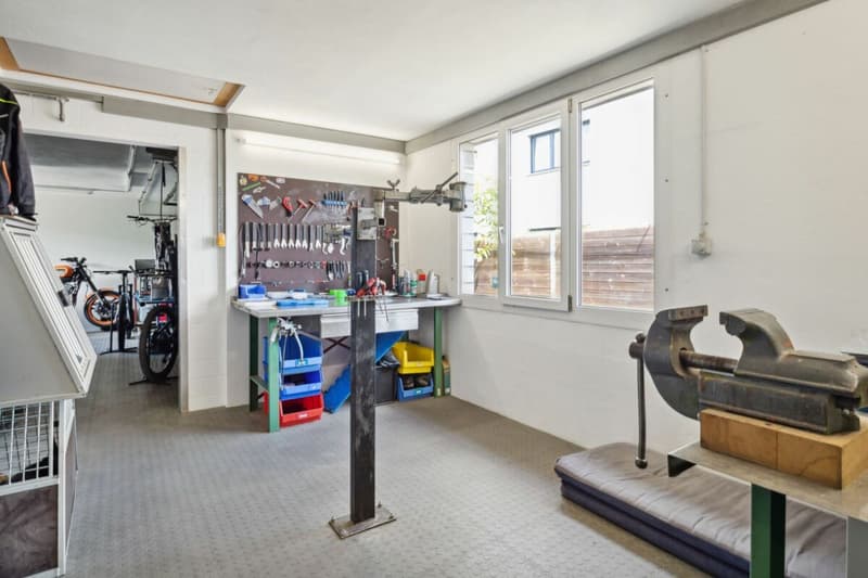 Sports équestres, propriété résidentielle et commerciale avec diverses options d'utilisation (12)
