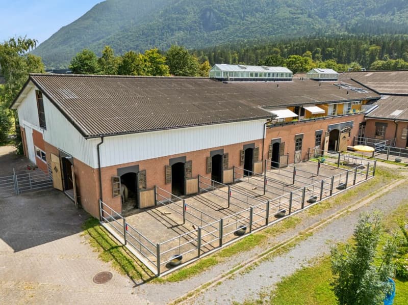 COMPLEXE EXCLUSIF DE SPORTS ÉQUESTRES AVEC INFRASTRUCTURE COMPLÈTE À MAUREN FL (6)
