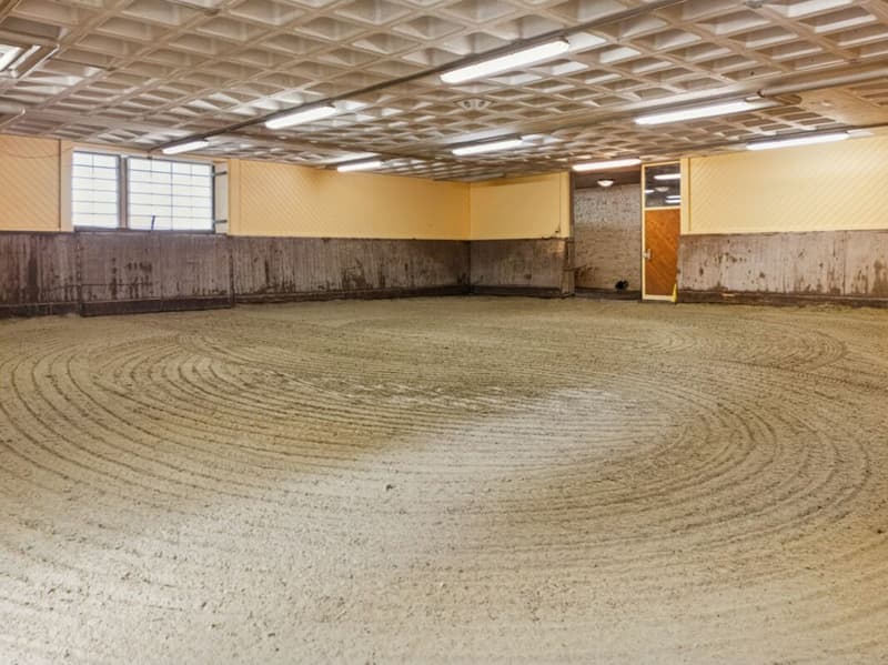 COMPLEXE EXCLUSIF DE SPORTS ÉQUESTRES AVEC INFRASTRUCTURE COMPLÈTE À MAUREN FL (3)