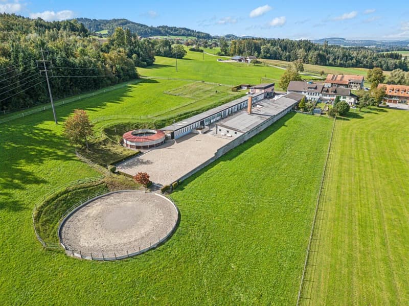 Equestrian Sports Center with Diverse Infrastructure and Expansion Opportunities (4)
