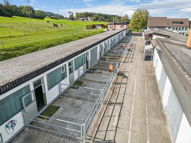 Equestrian Sports Center with Diverse Infrastructure and Expansion Opportunities (2)