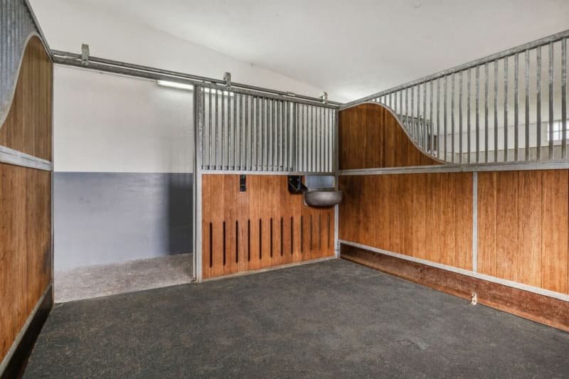 Equestrian Sports Center with Diverse Infrastructure and Expansion Opportunities (3)