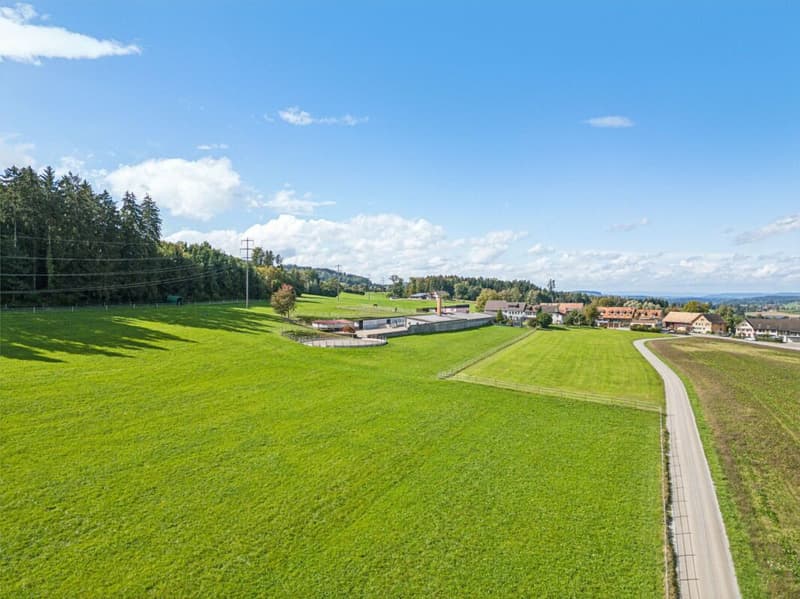 Equestrian Sports Center with Diverse Infrastructure and Expansion Opportunities (5)