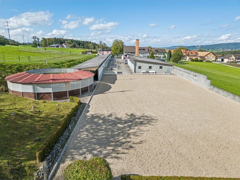 Equestrian Sports Center with Diverse Infrastructure and Expansion Opportunities (1)