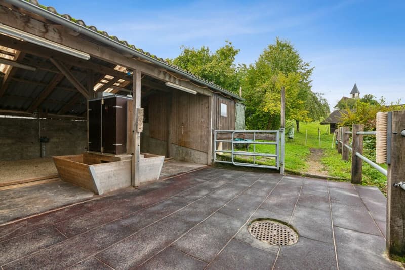 Casa colonica ristrutturata con potenziale di sviluppo (11)