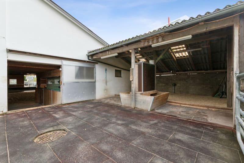 Casa colonica ristrutturata con potenziale di sviluppo (12)