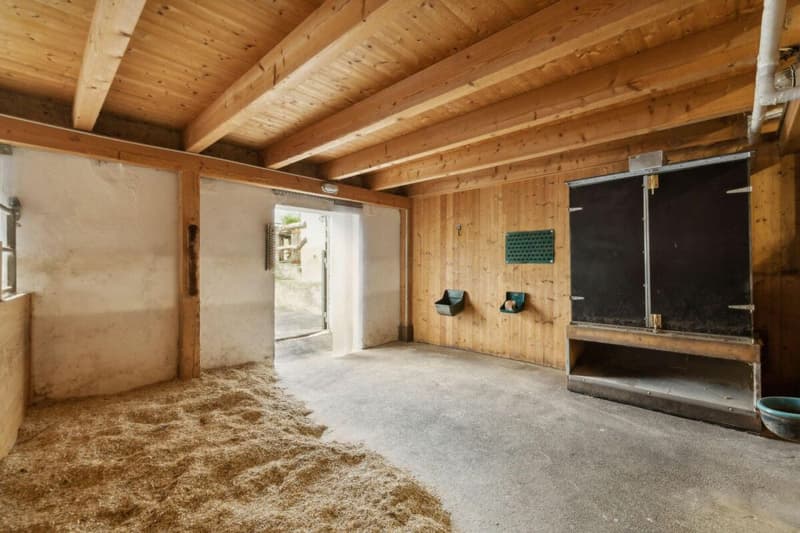 Casa colonica ristrutturata con potenziale di sviluppo (15)