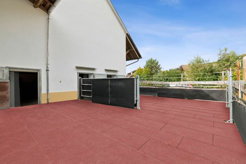 Casa colonica ristrutturata con potenziale di sviluppo (16)