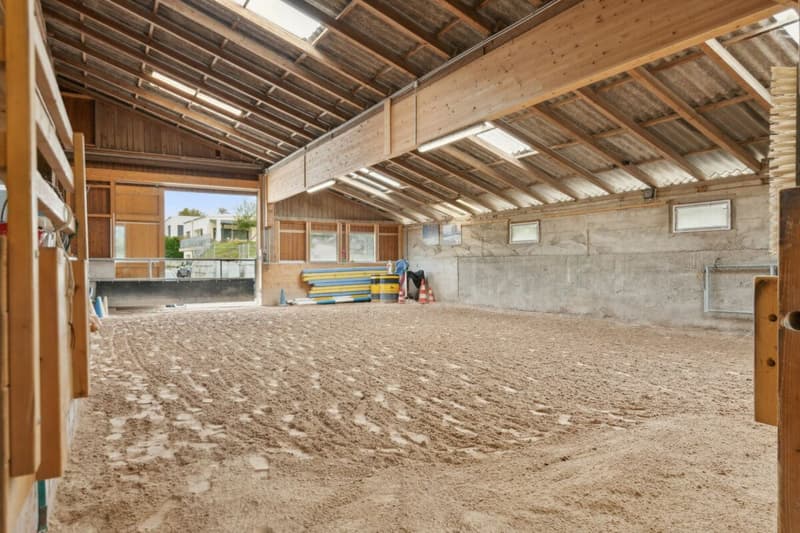 Casa colonica ristrutturata con potenziale di sviluppo (10)