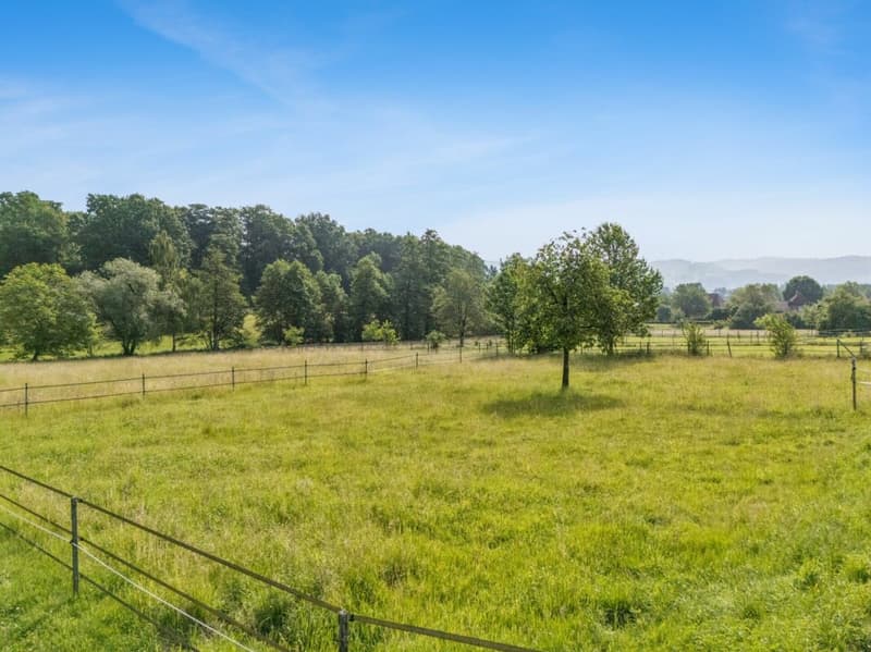 Equestrian Property with Two Residential Units and Individual Horse Keeping Possibility (5)