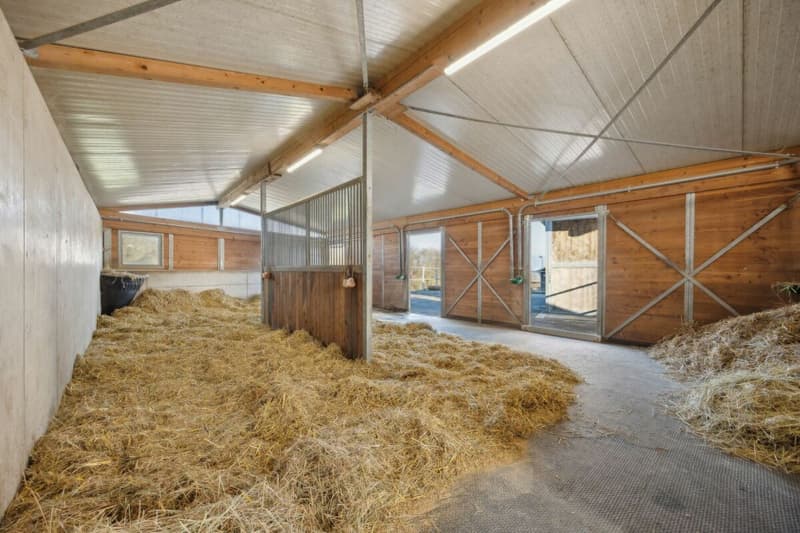 Equestrian Property with Two Residential Units and Individual Horse Keeping Possibility (4)