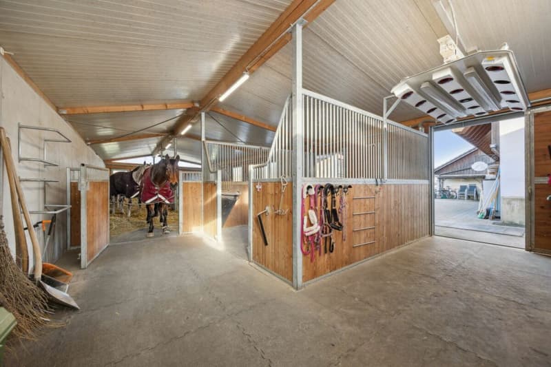 Equestrian Property with Two Residential Units and Individual Horse Keeping Possibility (3)