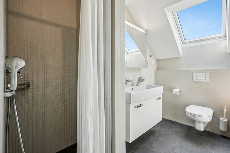 Move in with your family immediately in Buonas! (6)