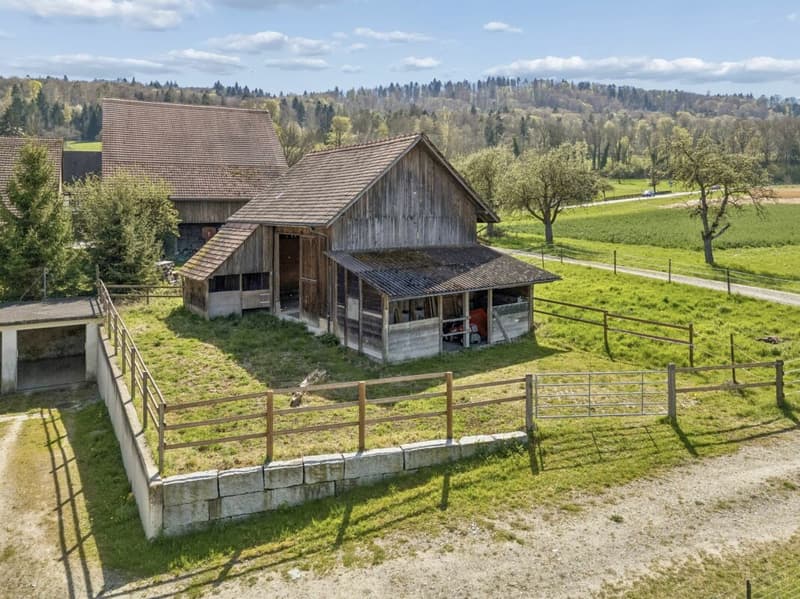 Maison mitoyenne avec grange et espace pour 8 chevaux (8)