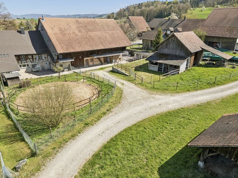 Maison mitoyenne avec grange et espace pour 8 chevaux (5)