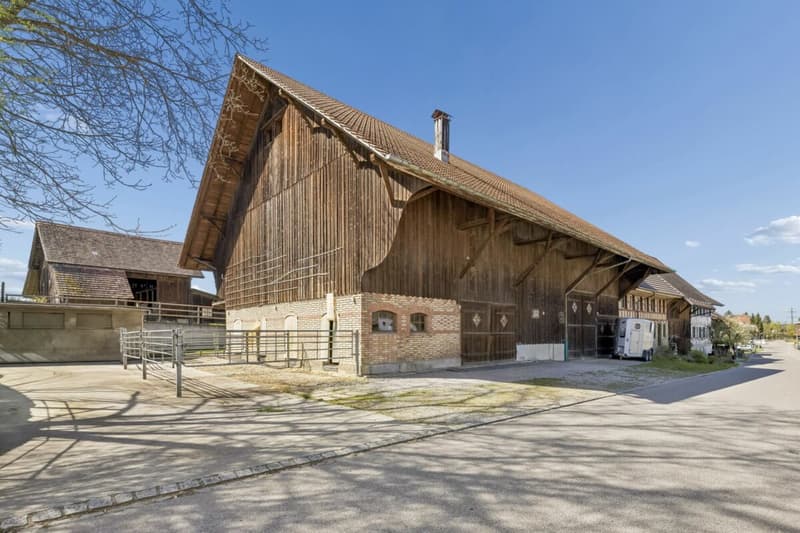 Maison mitoyenne avec grange et espace pour 8 chevaux (10)