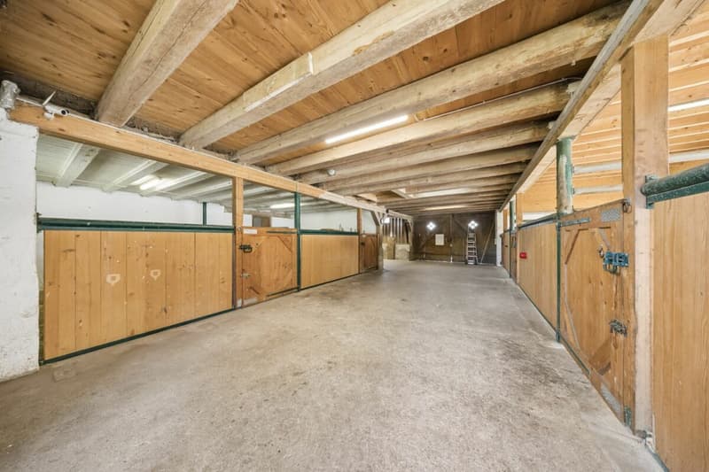 Maison mitoyenne avec grange et espace pour 8 chevaux (6)