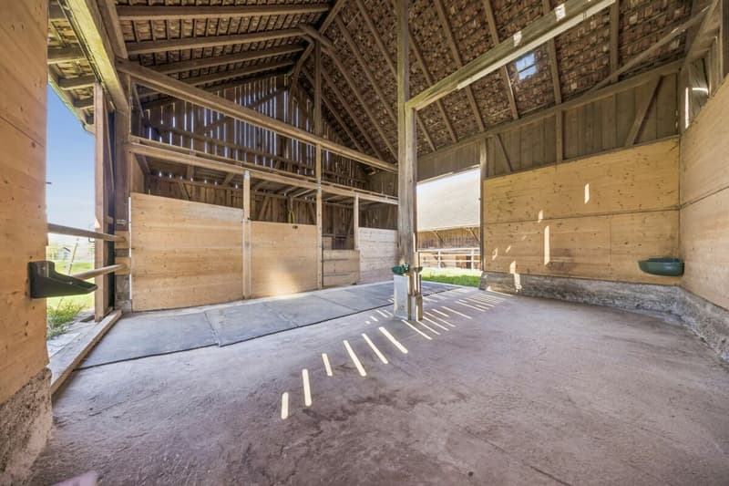 Maison mitoyenne avec grange et espace pour 8 chevaux (9)