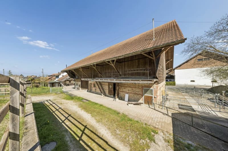Maison mitoyenne avec grange et espace pour 8 chevaux (7)