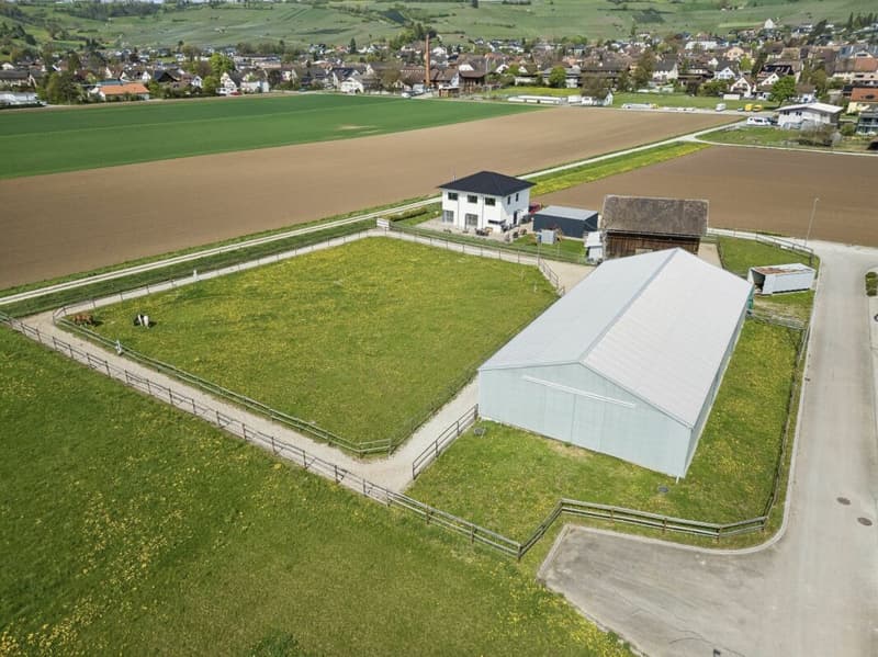 Votre propre paradis équestre dans le Klettgau ensoleillé (10)