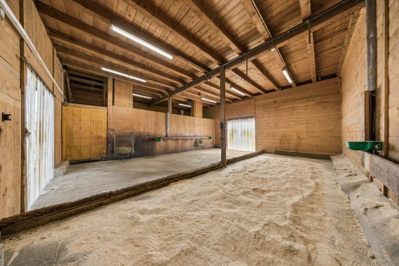 Votre propre paradis équestre dans le Klettgau ensoleillé (4)