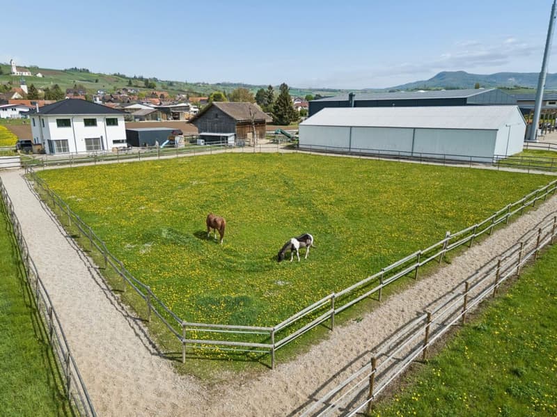 Votre propre paradis équestre dans le Klettgau ensoleillé (2)