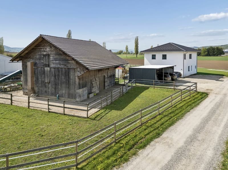 Votre propre paradis équestre dans le Klettgau ensoleillé (5)
