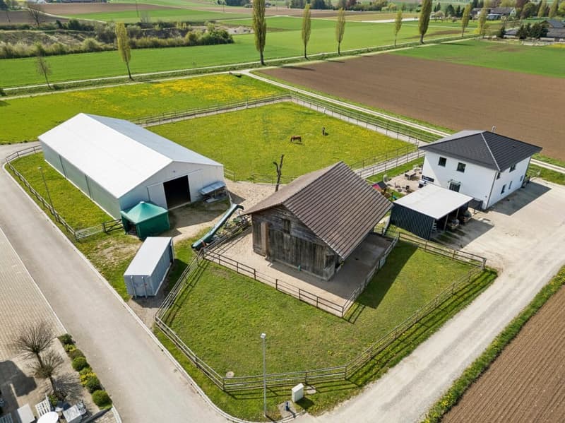 Votre propre paradis équestre dans le Klettgau ensoleillé (1)