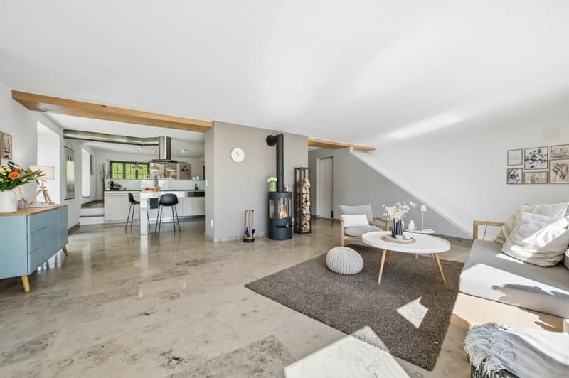 Your Equestrian Property with Two Residential Units on the Plateau de Diesse (4)