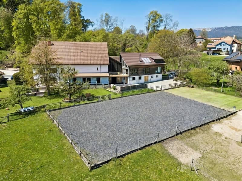 Your Equestrian Property with Two Residential Units on the Plateau de Diesse (1)