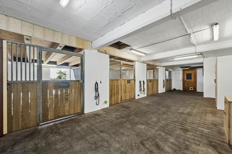 Your Equestrian Property with Two Residential Units on the Plateau de Diesse (7)