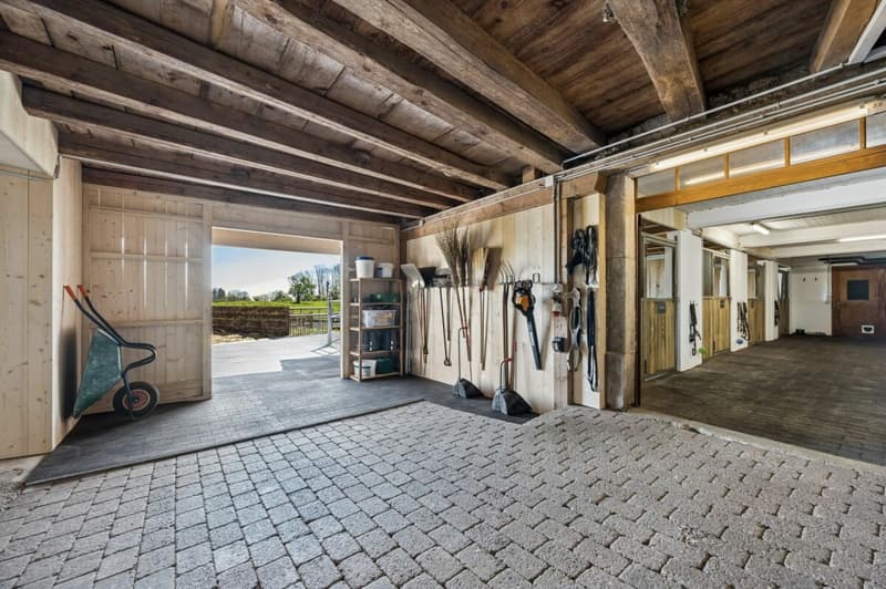 Your Equestrian Property with Two Residential Units on the Plateau de Diesse (8)