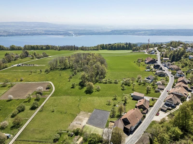 Your Equestrian Property with Two Residential Units on the Plateau de Diesse (9)