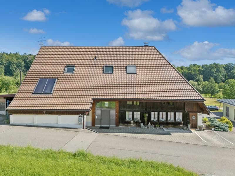 STILVOLLES BAUERNHAUS MIT ZWEI WOHNEINHEITEN IN KÖLLIKEN (7)