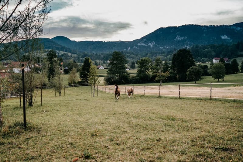 LIFESTYLE FOR YOU AND YOUR HORSES AT THE FOOT OF THE JURA (12)