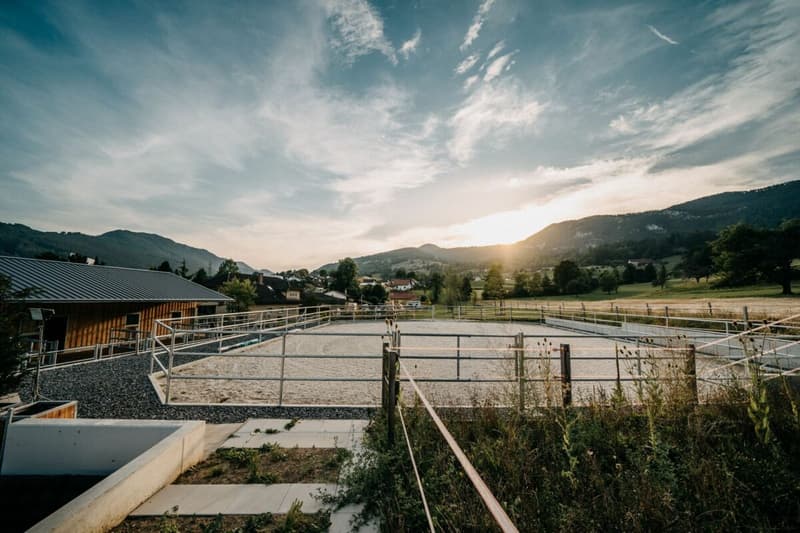LIFESTYLE FOR YOU AND YOUR HORSES AT THE FOOT OF THE JURA (11)