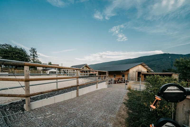 LIFESTYLE FOR YOU AND YOUR HORSES AT THE FOOT OF THE JURA (8)