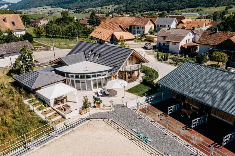 LIFESTYLE FOR YOU AND YOUR HORSES AT THE FOOT OF THE JURA (6)