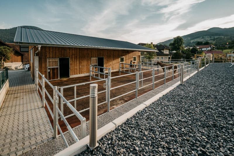 LIFESTYLE FOR YOU AND YOUR HORSES AT THE FOOT OF THE JURA (9)