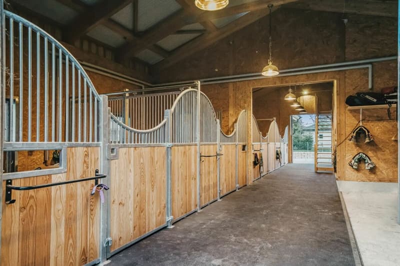 LIFESTYLE FOR YOU AND YOUR HORSES AT THE FOOT OF THE JURA (10)