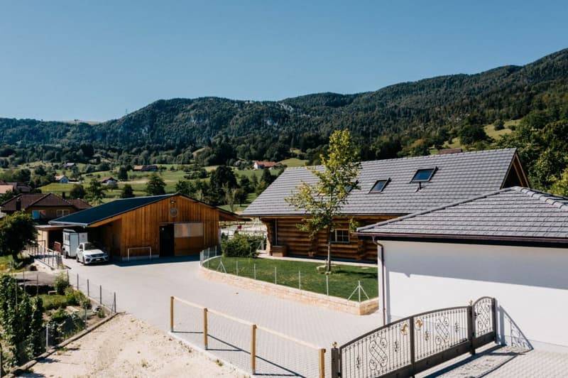 LIFESTYLE FOR YOU AND YOUR HORSES AT THE FOOT OF THE JURA (8)