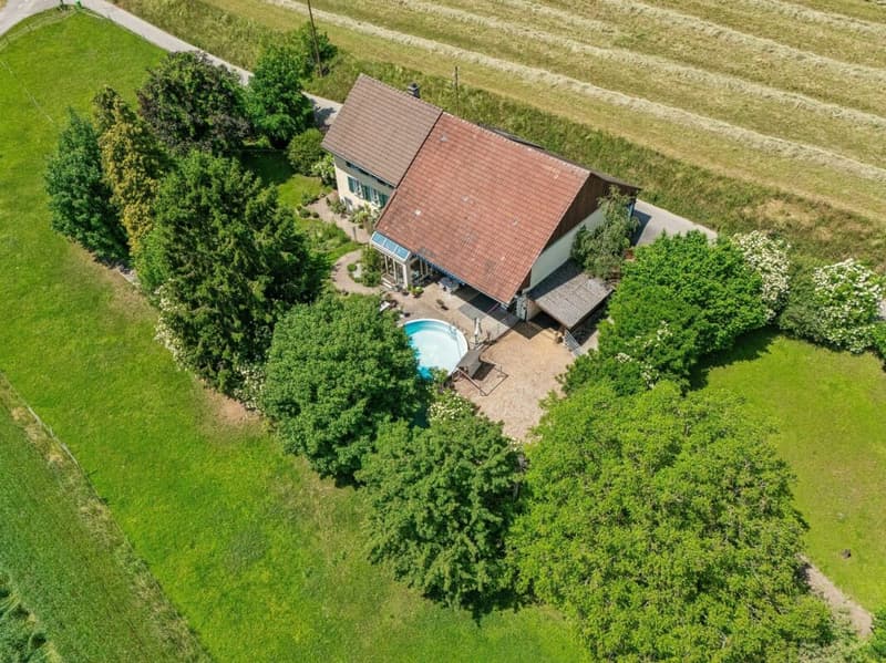 DOVE LA VITA DI CAMPAGNA E LA FELICITÀ DEI CAVALLI SI INCONTRANO (1)