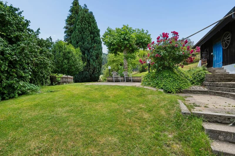 WO PFERDE, NATUR UND WEITSICHT EIN ZUHAUSE FINDEN (5)